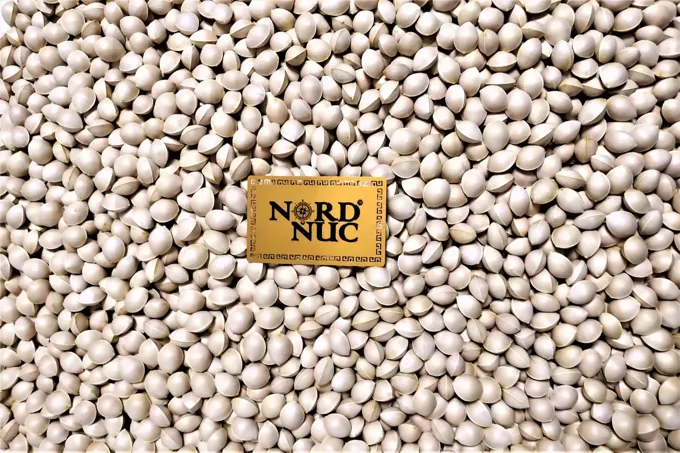 Seed preparation and germination