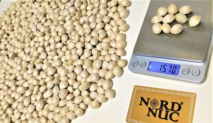 Seed preparation and germination