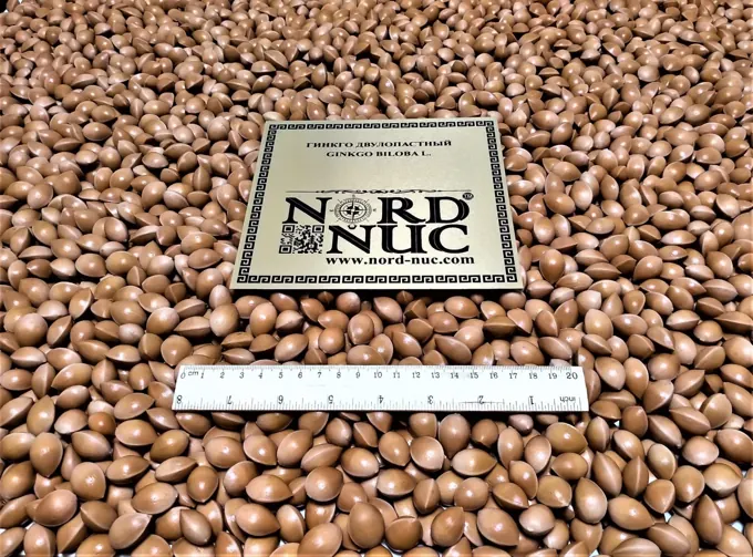 Seed preparation and germination