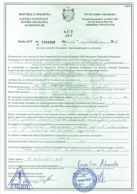 Published organization documents